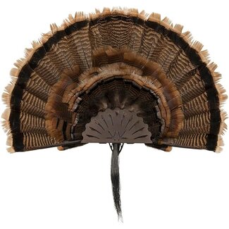 ALLEN Allen EZ Mount Turkey Fan Display