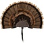Allen EZ Mount Turkey Fan Display