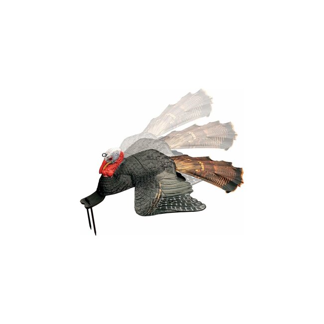 Appelant Primos  Dindon Blessé (Dirty Bird)