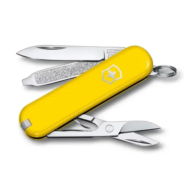 Victorinox Classic SD Folding Knife