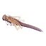 Fishlab Nymphe Flutter  2 1/2'' 6/pqt