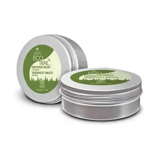 DRUIDE Dentifrice Solide Druide à La Menthe 40g