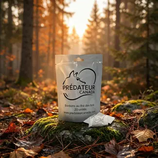 Predateur Canada Predator Canada's Wintergreen Tea Candies