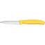 Victorinox Classic Knife