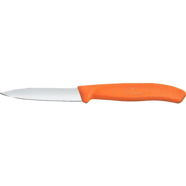 Victorinox Classic Knife