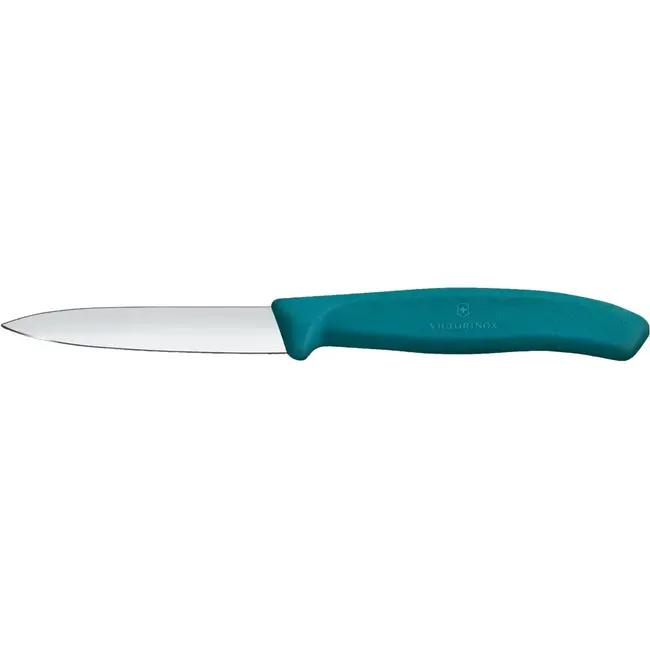 Victorinox Classic Knife
