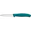 Victorinox Classic Knife