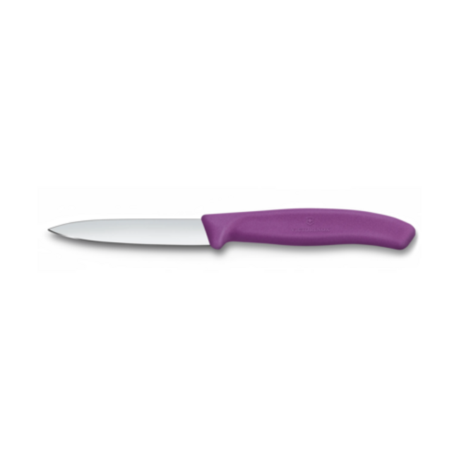 Victorinox Classic Knife