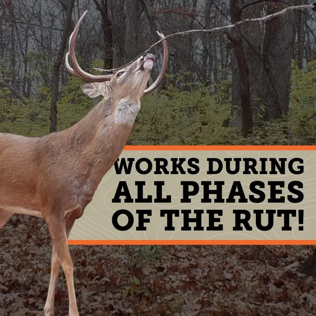 Hodag Sweet November Rut Deer Scent 4 oz For Natural And Mock Scrapes