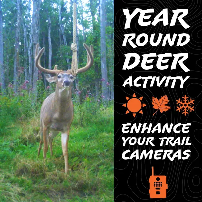 Ensemble De Corde Buck Hodag HempScent Petit Avec Attractif AllSeason