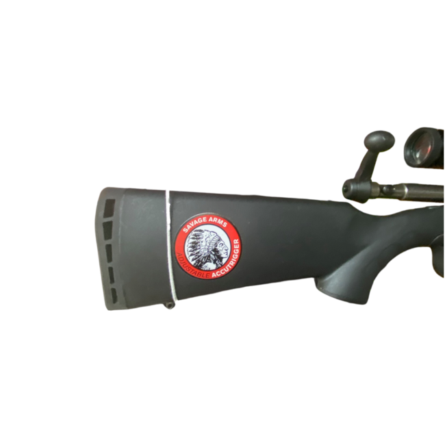 Carabine Savage Axis II Cal. .30-06 Springfield À Verrou Avec Canon De 22 Po Et Télescope Weaver 3-9x40mm