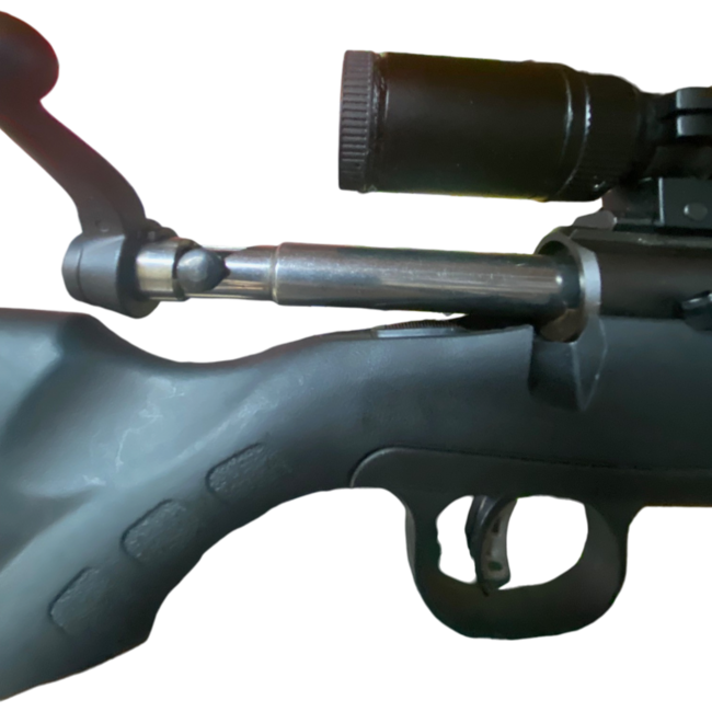 Carabine Savage Axis II Cal. .30-06 Springfield À Verrou Avec Canon De 22 Po Et Télescope Weaver 3-9x40mm