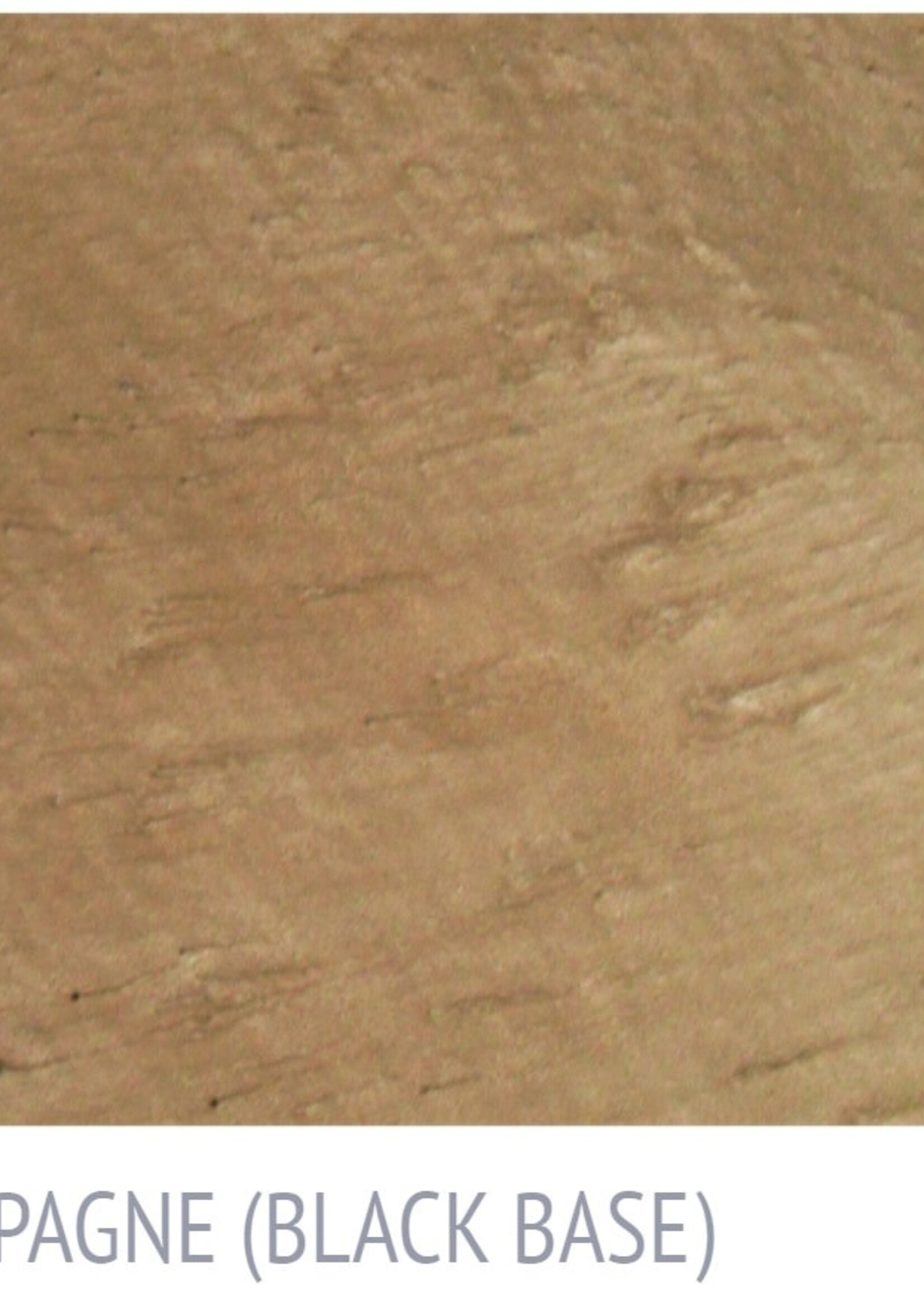 Surecrete Surecrete Trans4loor Metallic Pigment  - 10oz Champagne