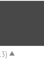 Surecrete Surecrete Concrete Dry Pigment Additive - Gray