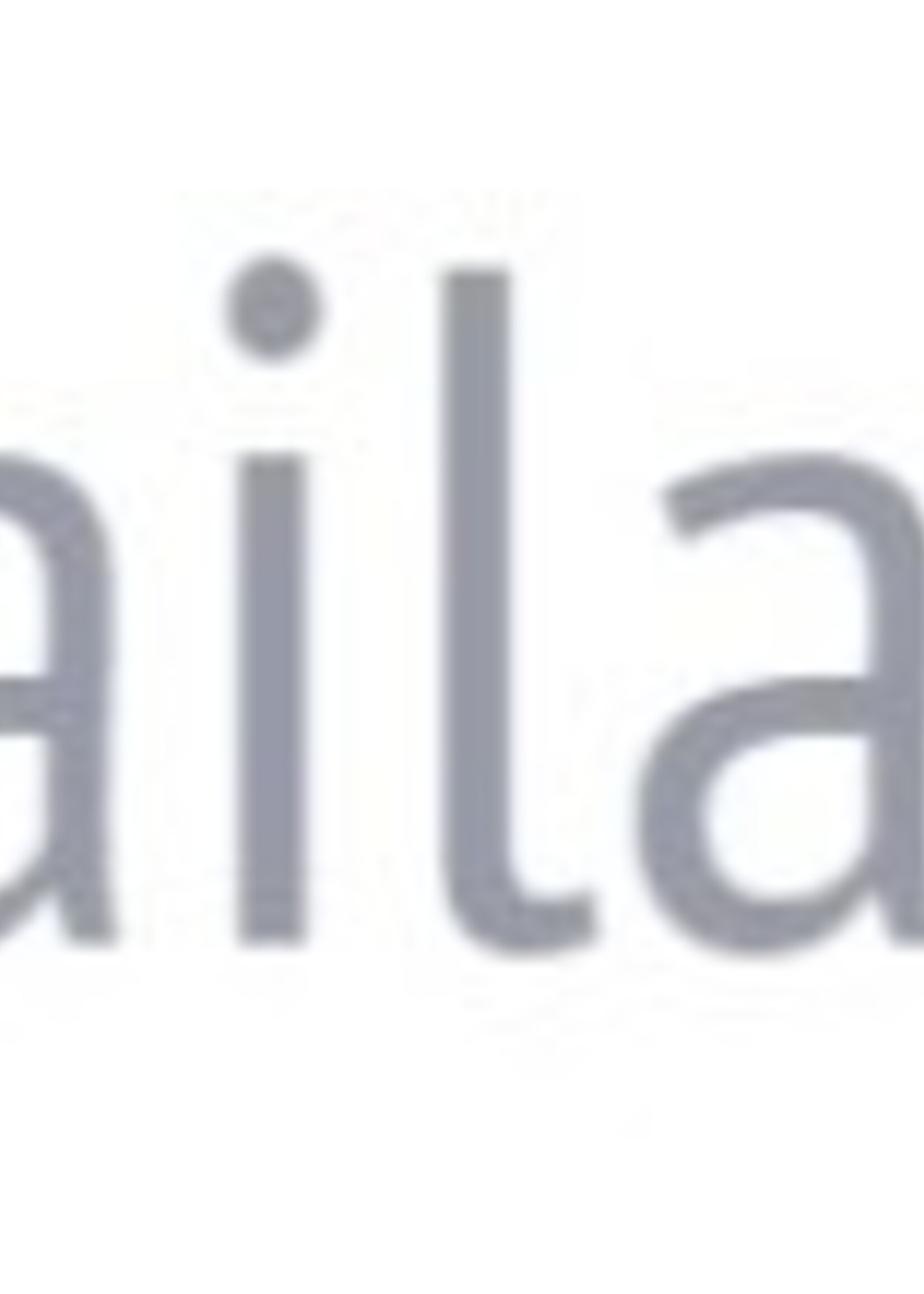 Surecrete Surecrete Concrete Dry Pigment Additive - Gray