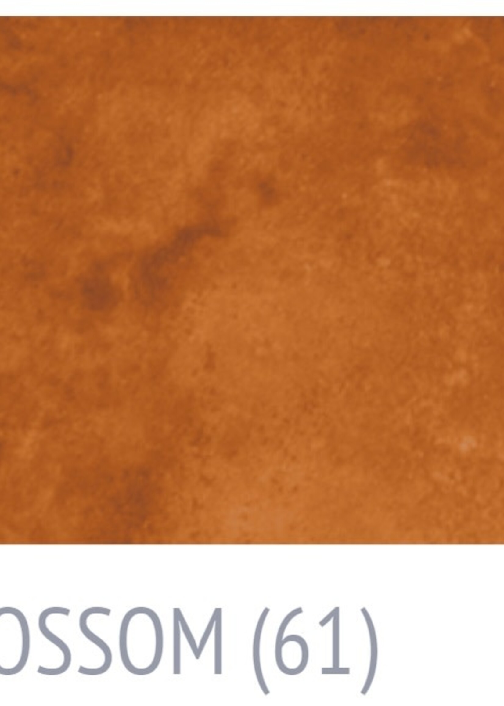 Surecrete Surecrete Eco-Stain Concrete Stain - 4oz Orange Blossom