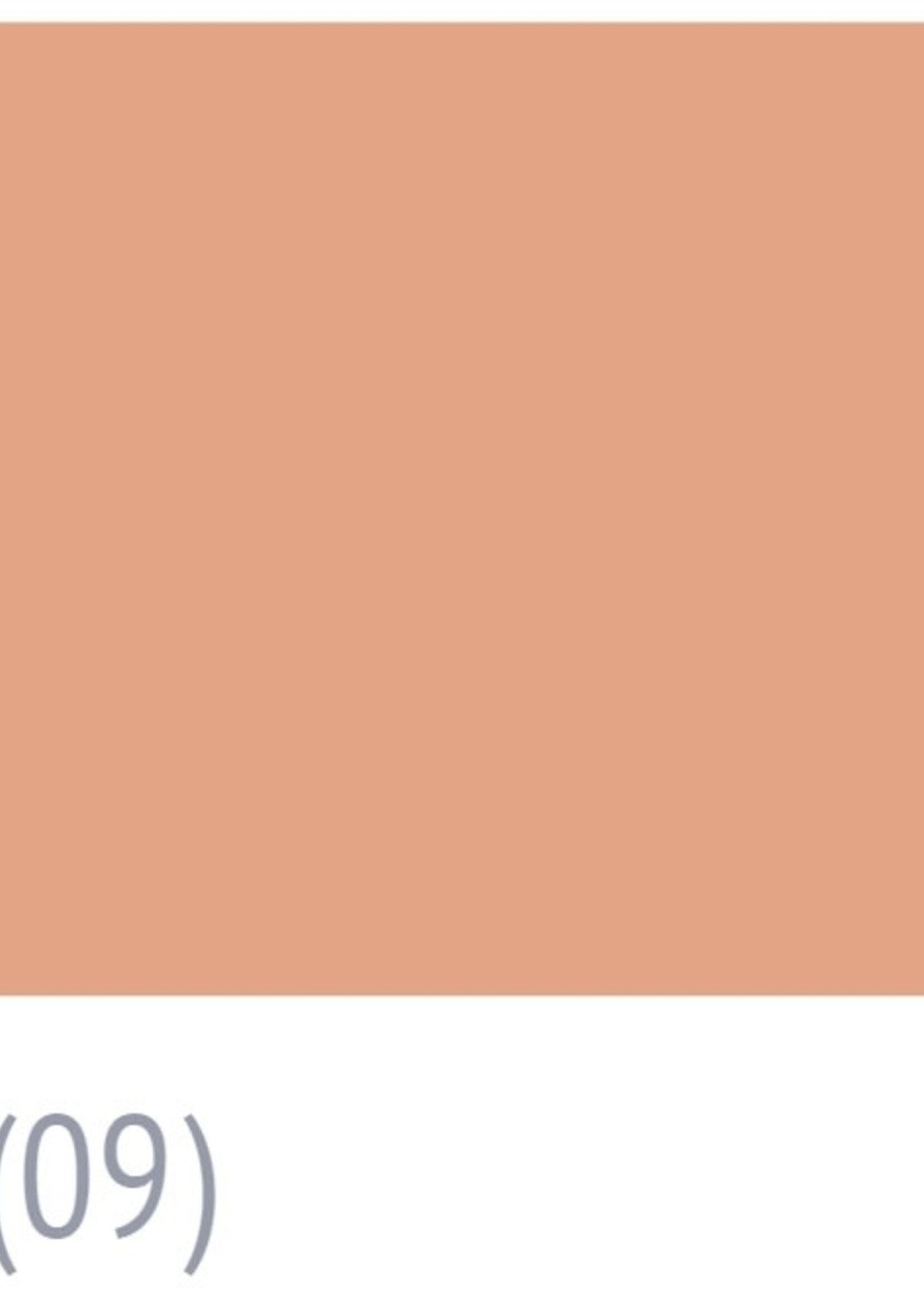 Surecrete Surecrete Concrete Dry Pigment Additive - Coral