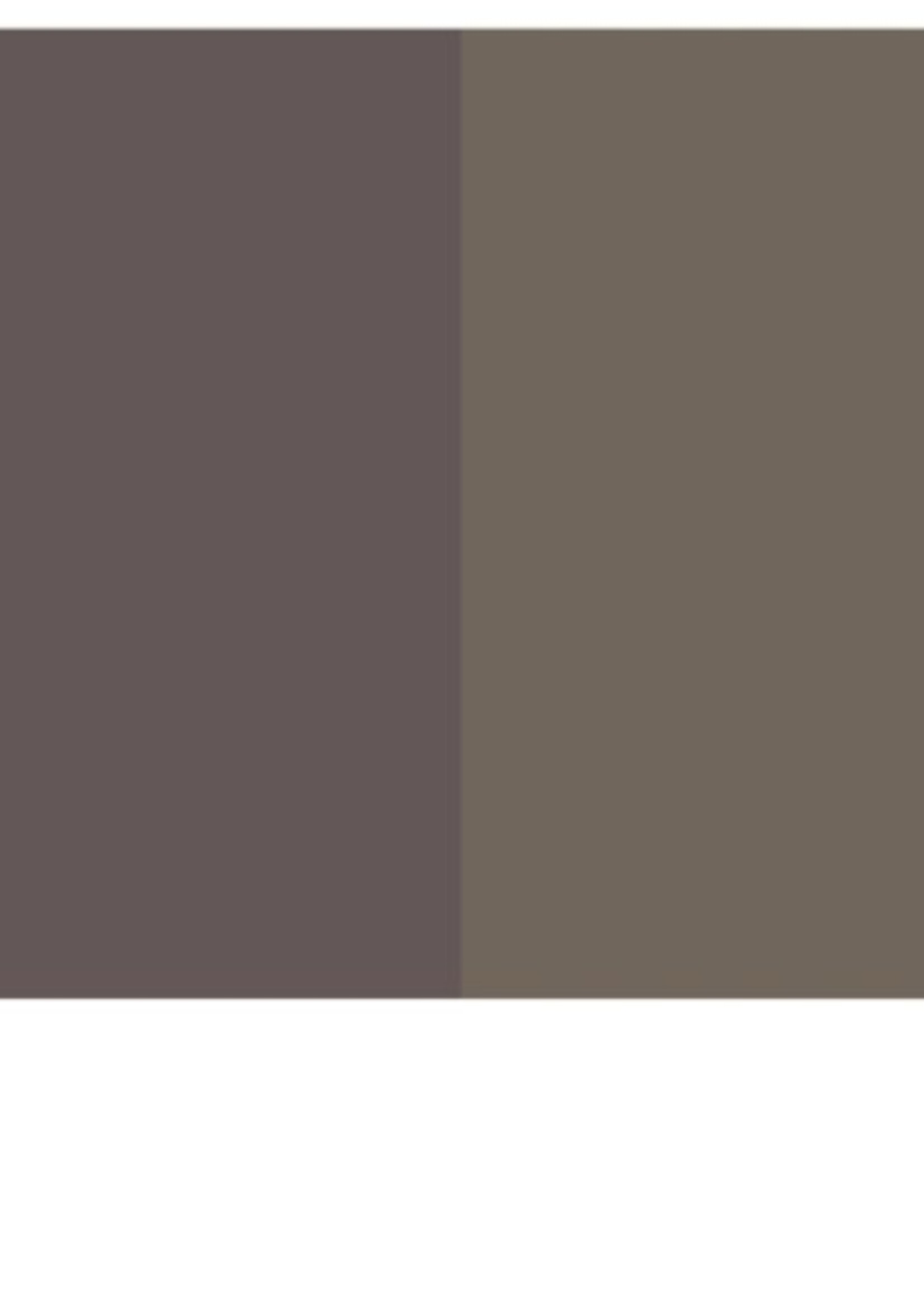 Surecrete Surecrete XS Dry Pigment Additive - Cavern