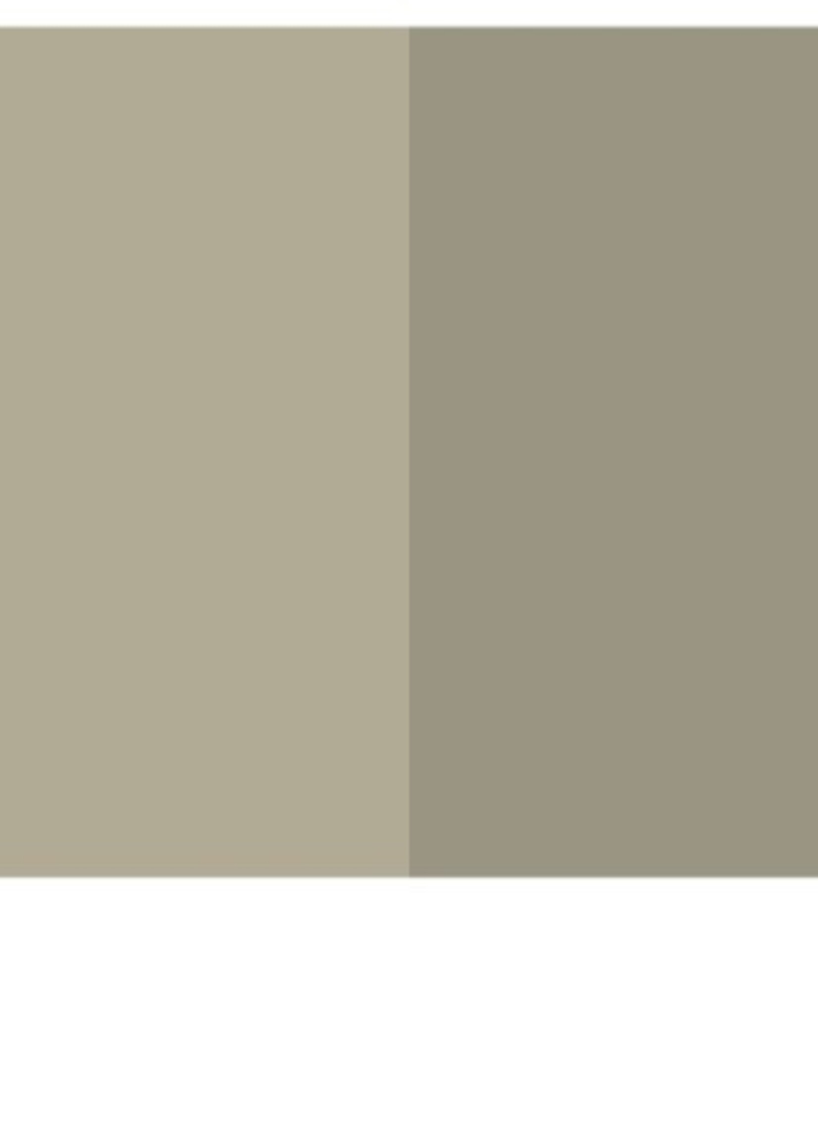 Surecrete Surecrete XS Dry Pigment Additive - Morning Canopy