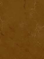 Surecrete Surecrete Vivid Acid Stain 1 Gal - Carmel