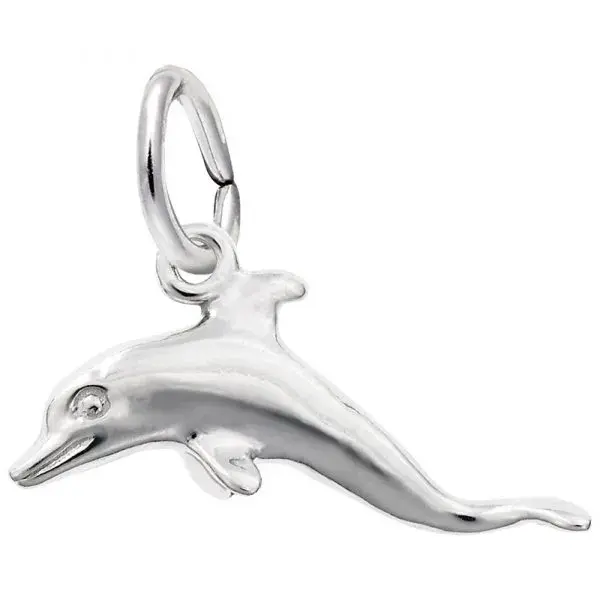 REMBRANDT DOLPHIN REMBRANDT DOLPHIN