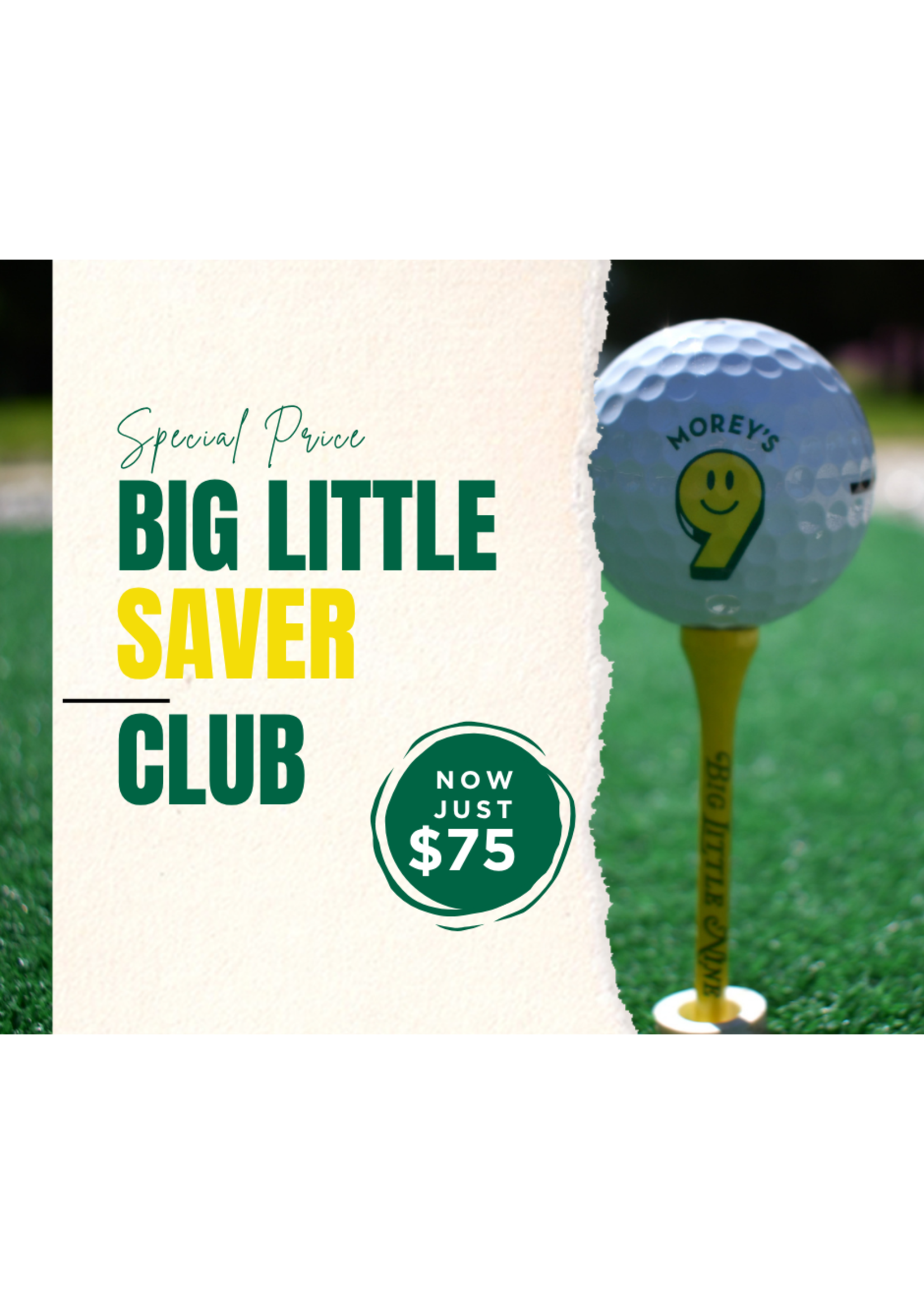 Big Little Saver- Pass