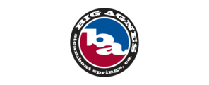 BIG AGNES