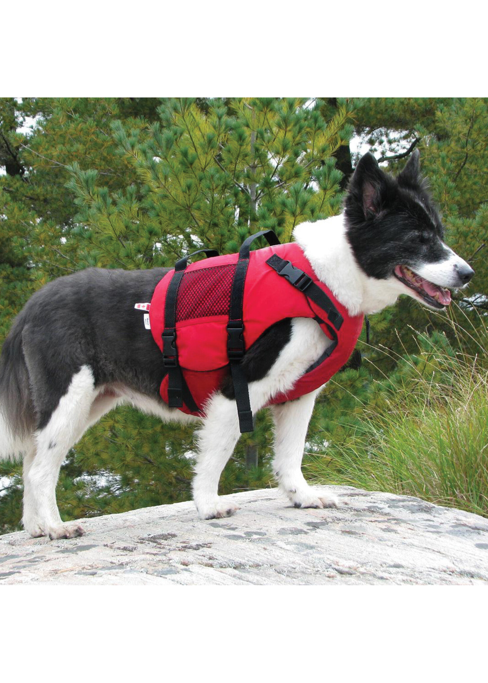 SALUS SKIPPY DOG PFD