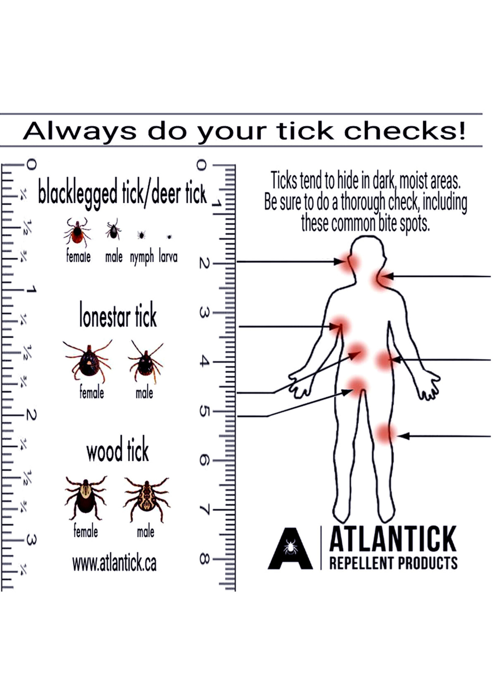 ATLANTICK ATLANTICK TICK KIT