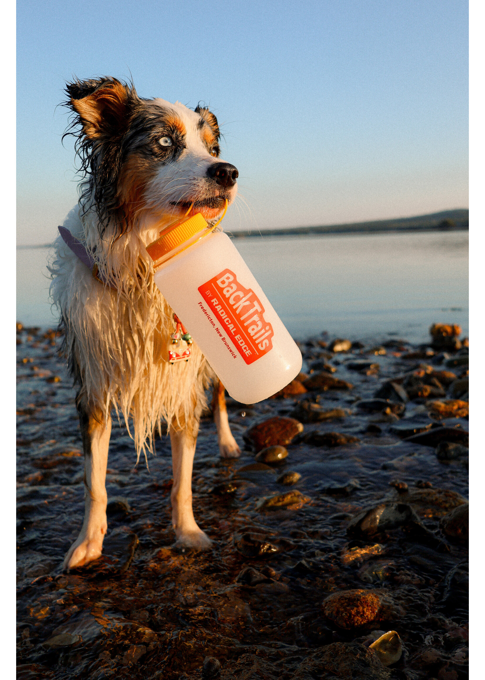 Backtrails By Radical Edge BACKTRAILS LOGO NALGENE 32oz