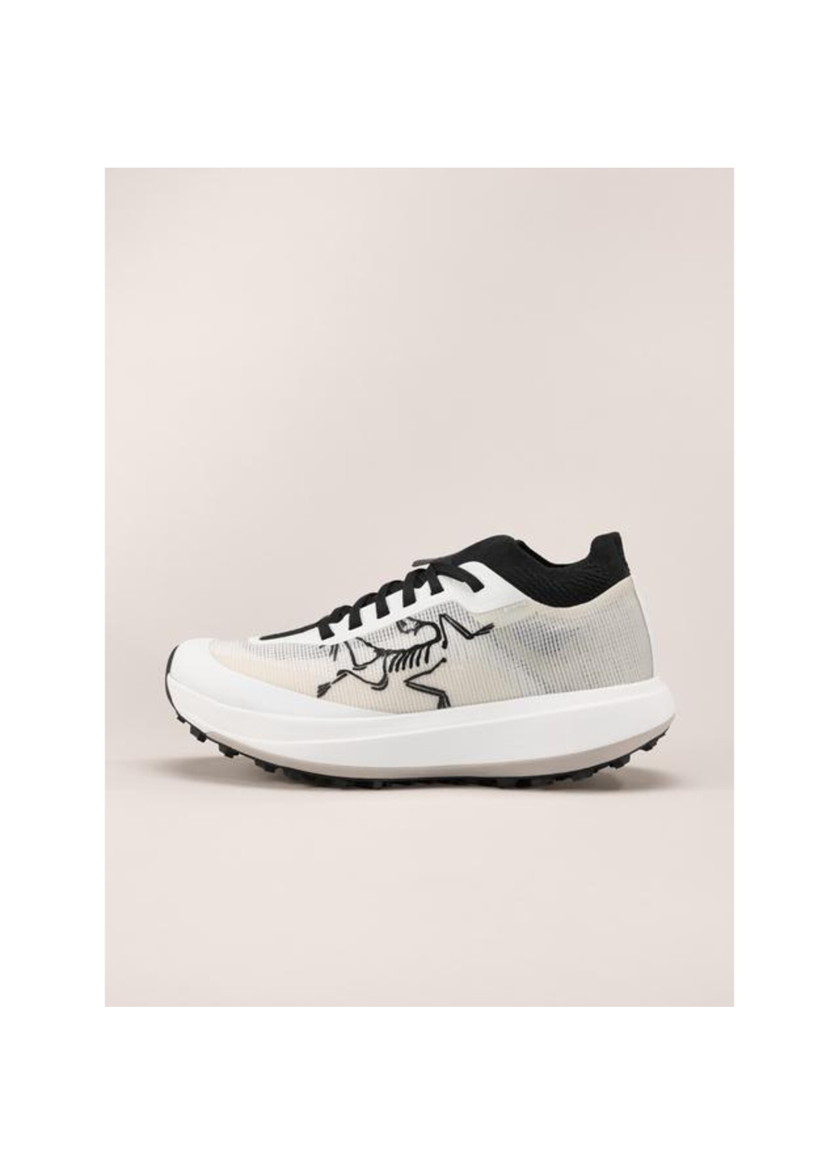 ARC'TERYX WMS SYLAN PRO-