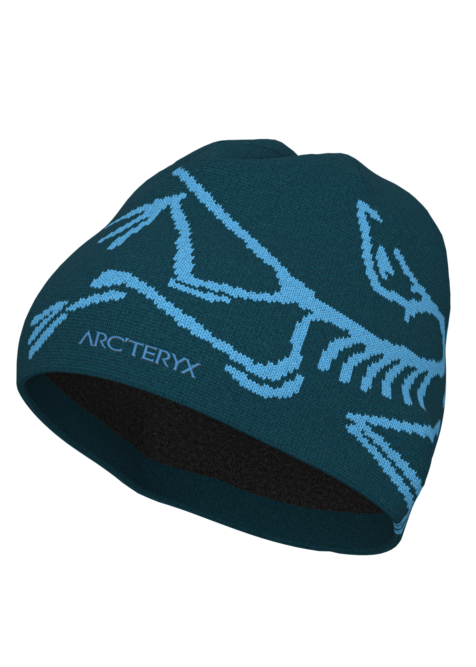 ARC'TERYX BIRD HEAD TOQUE-
