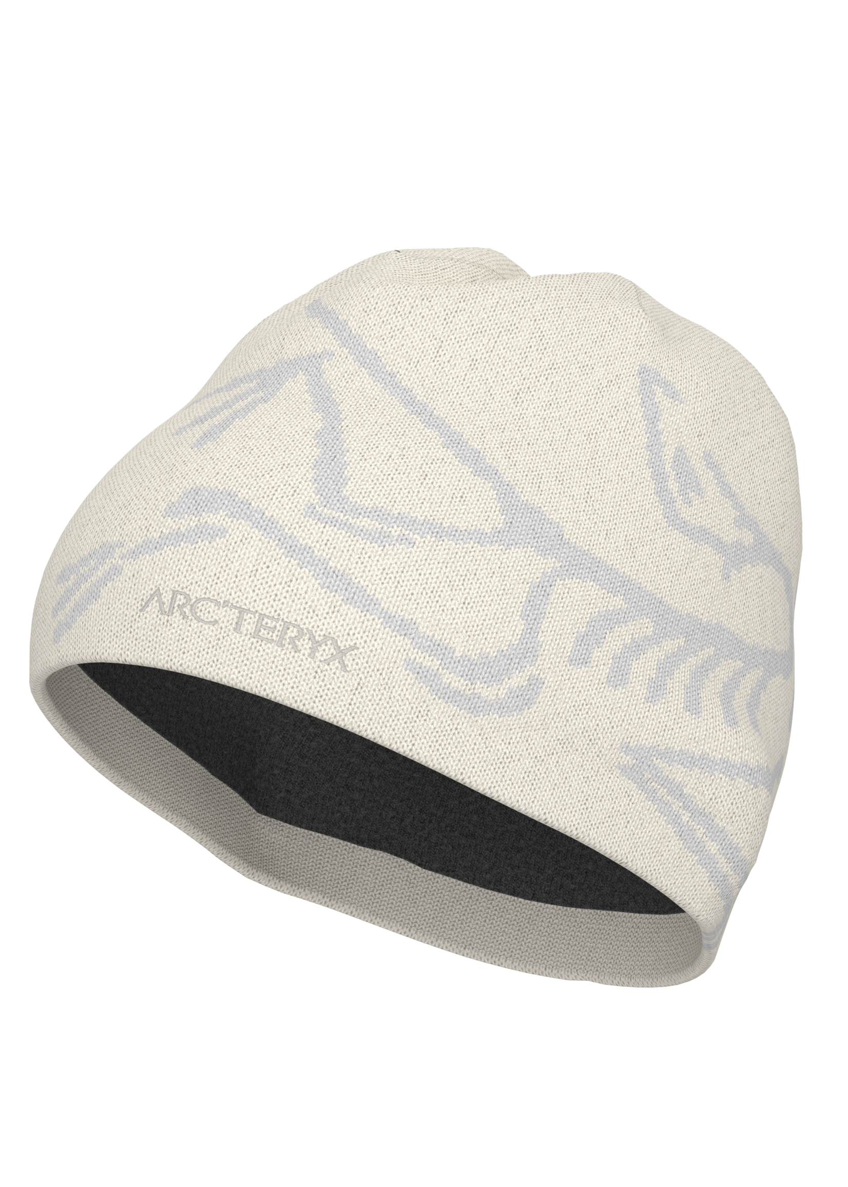 ARC'TERYX BIRD HEAD TOQUE-