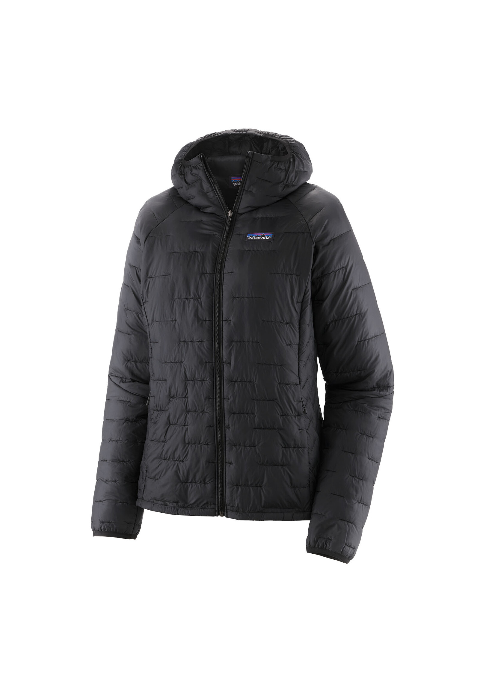 PATAGONIA WMS MICRO PUFF HOODY-