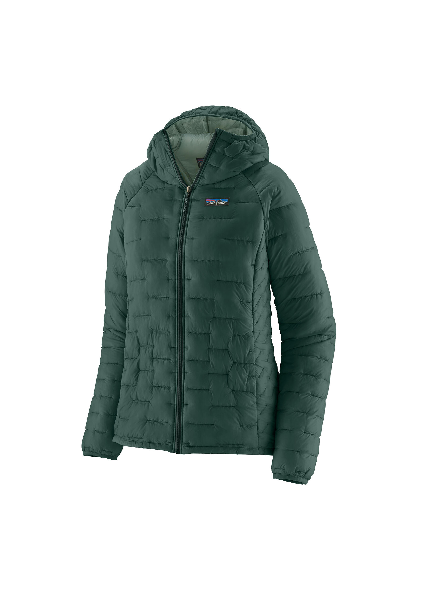 PATAGONIA WMS MICRO PUFF HOODY-