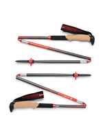 BLACK DIAMOND PURSUIT CARBON FLZ POLES-