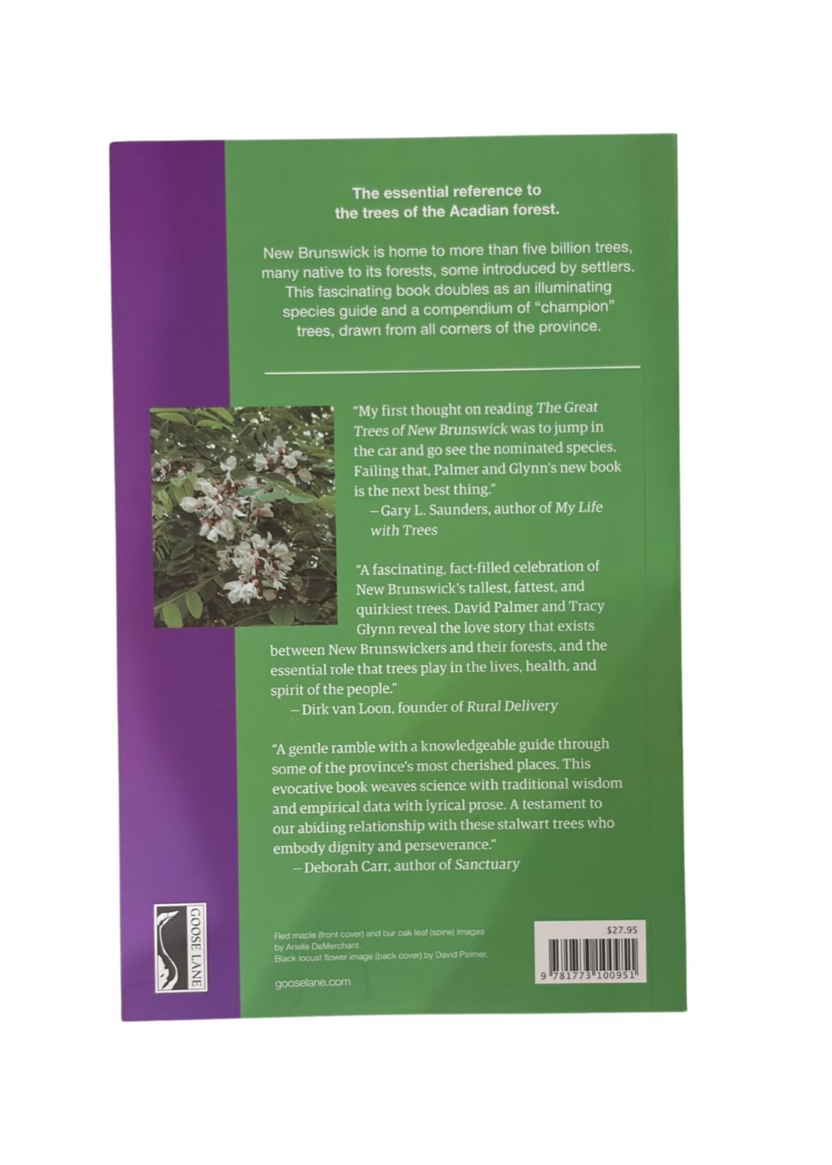 THE GREAT TREES OF NEW BRUNSWICK