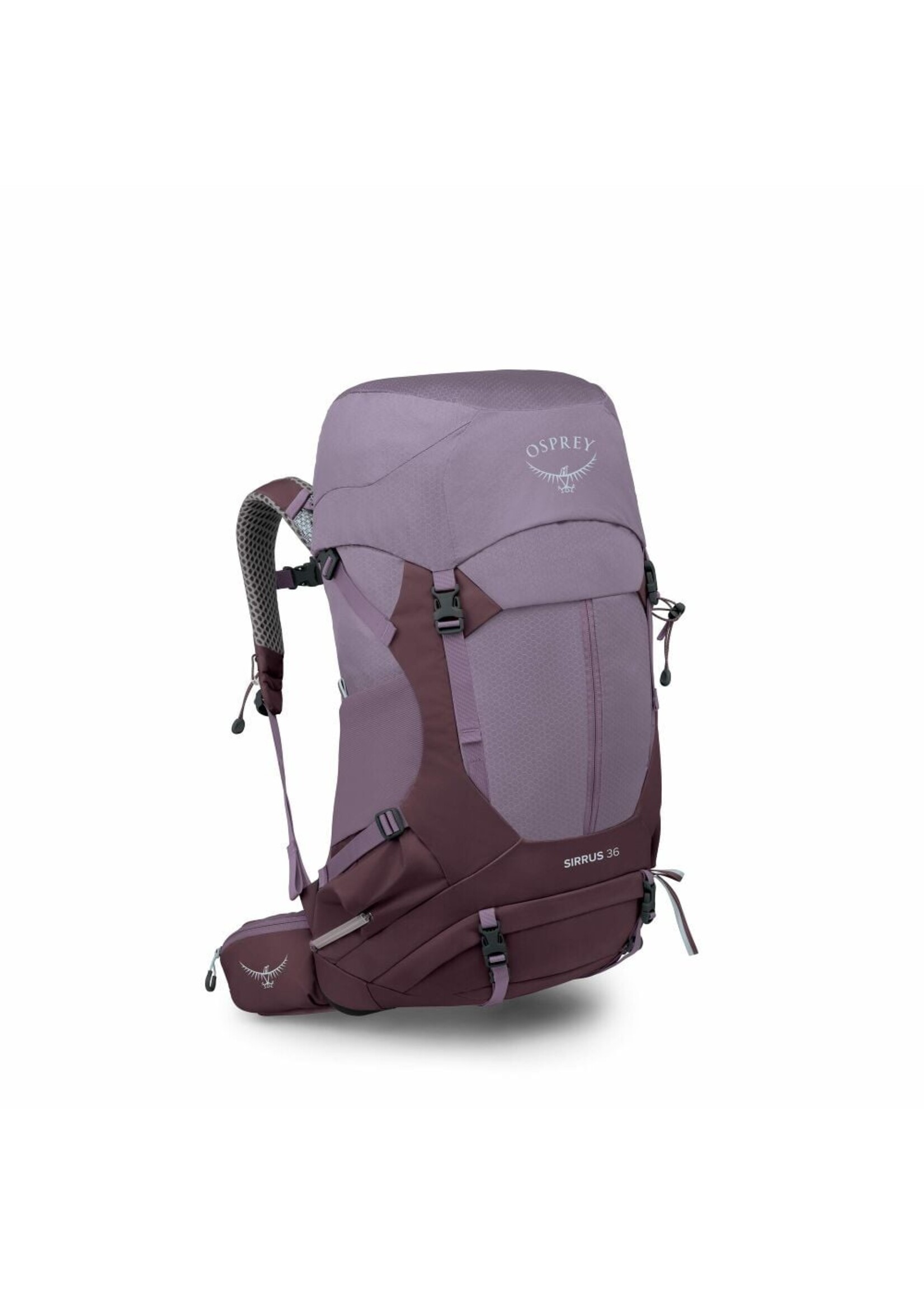 SIRRUS 36-
