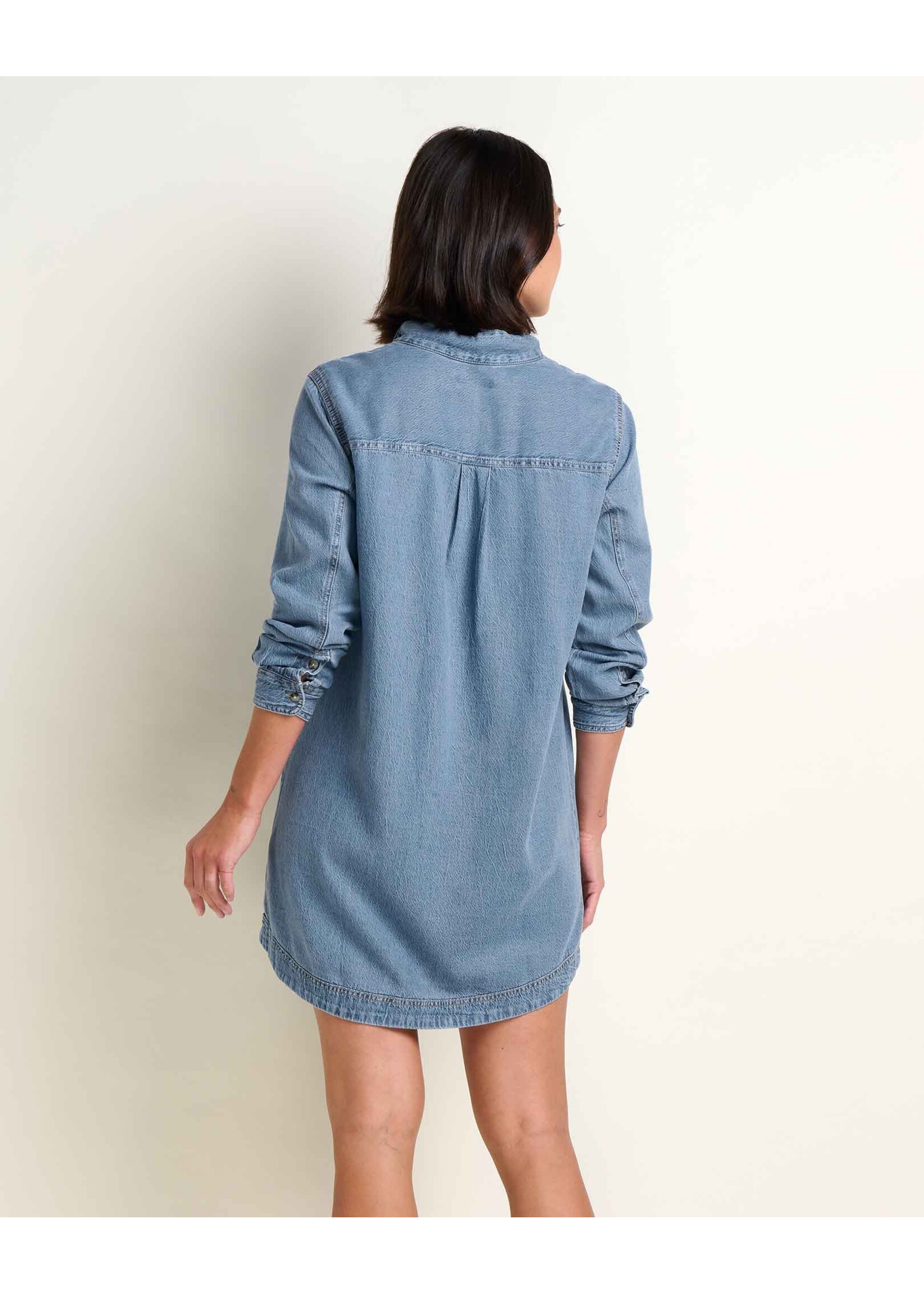 TOAD & CO PINON SOFT DENIM POPOVER DRESS-