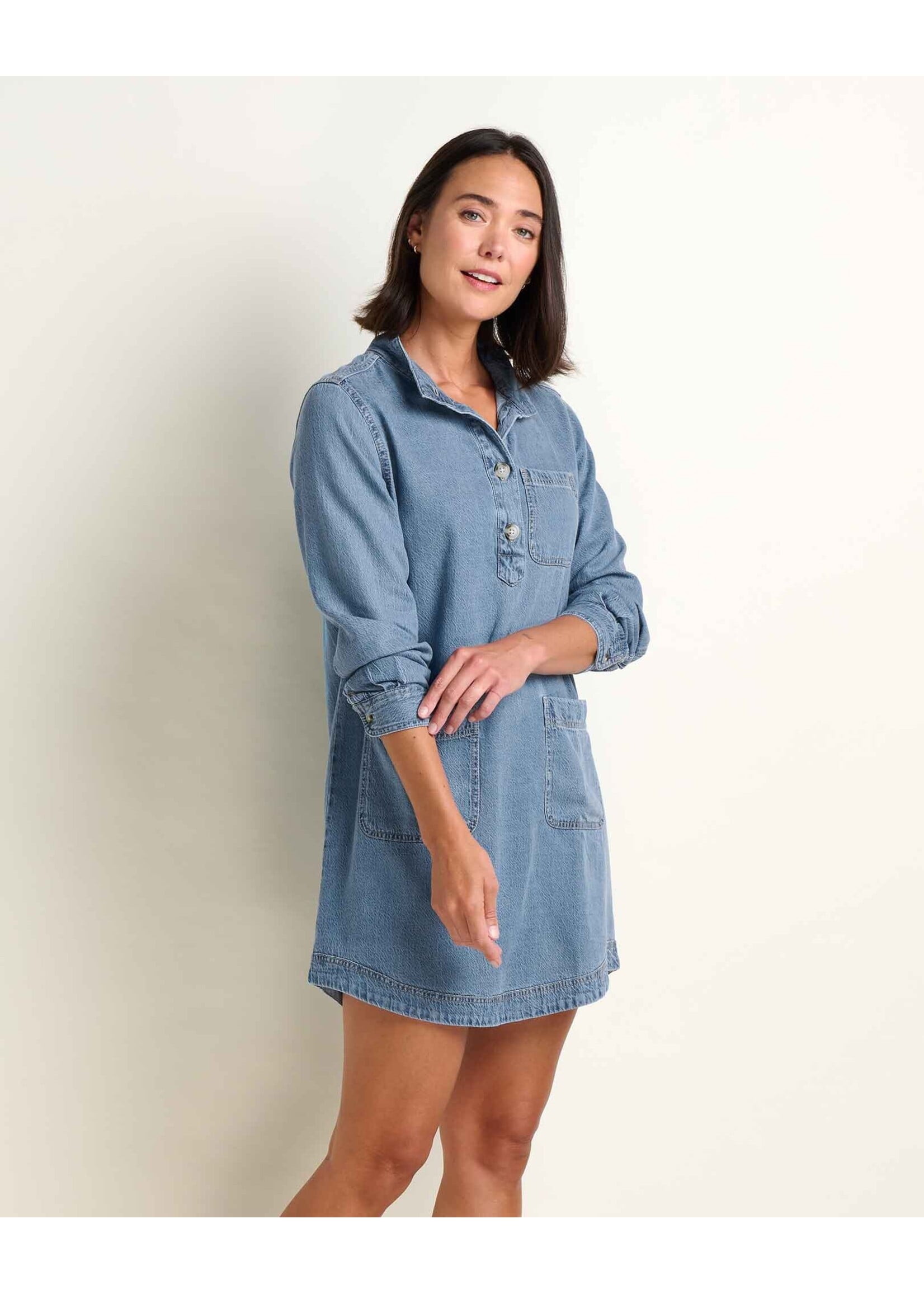 TOAD & CO PINON SOFT DENIM POPOVER DRESS-