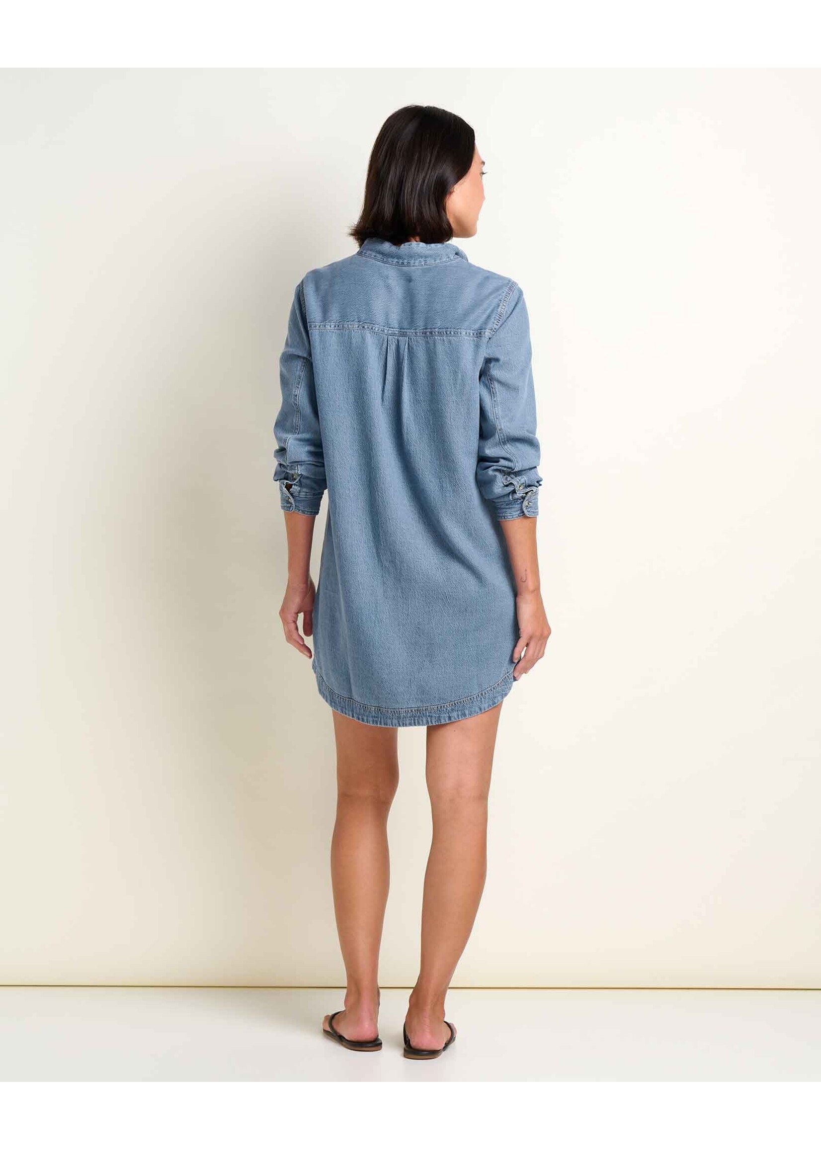 TOAD & CO PINON SOFT DENIM POPOVER DRESS-