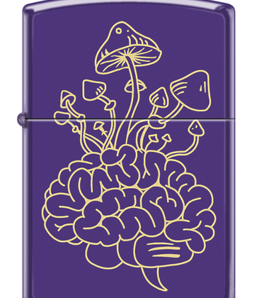 Zippo 30.95 - Mushroom/Brain