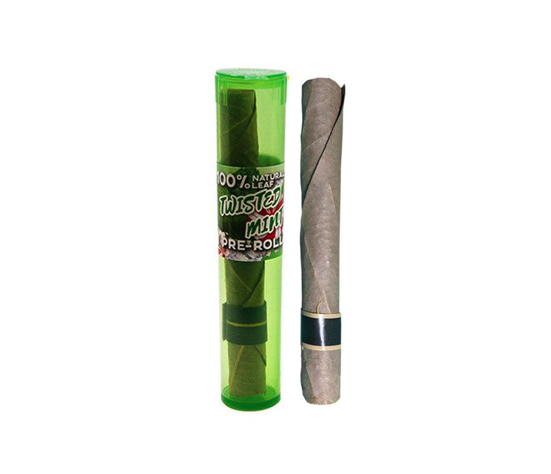 Tasty Palm Cone 0.99 - 30ct Display