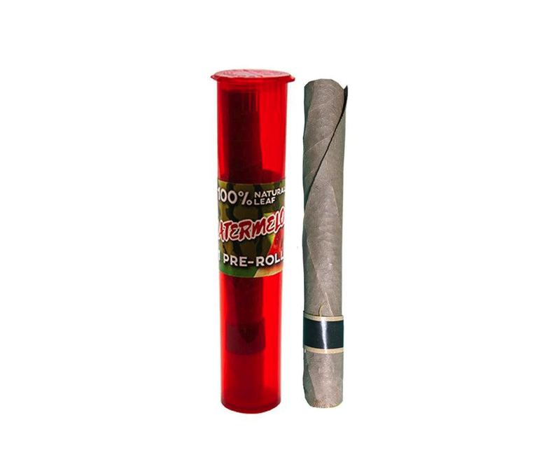 Tasty Palm Cone 0.99 - 30ct Display