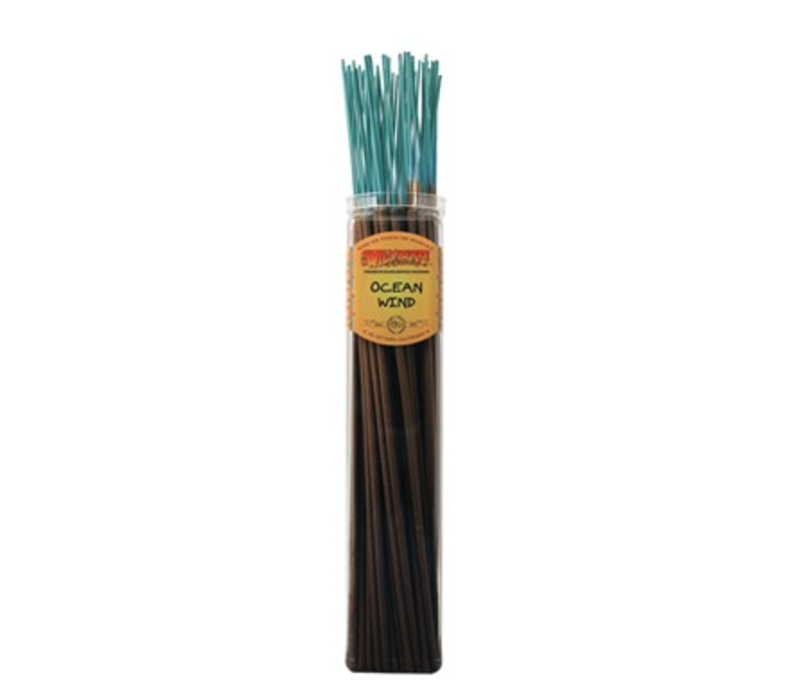 Incense Wild Berry Biggie 1.25 - 50ct Bundle