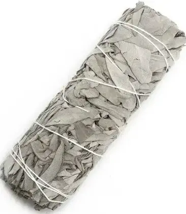 Smudge White Sage 6" 4.99