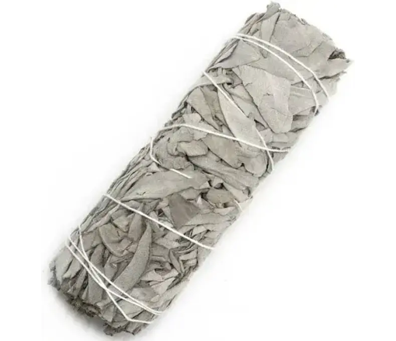 Smudge White Sage 6" 4.99