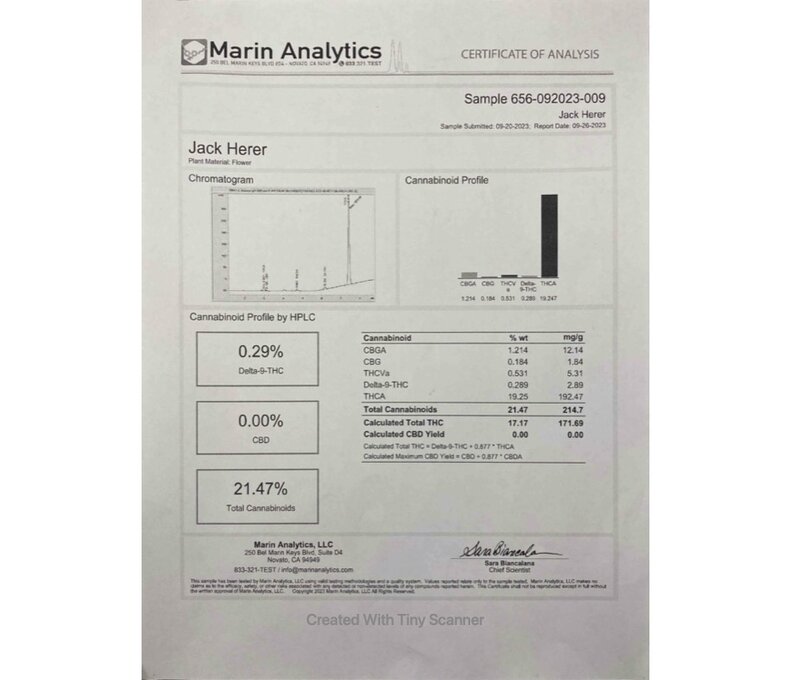 Mean Leaf THCA Preroll 1g