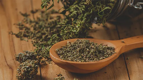 PURE HEMP POWER