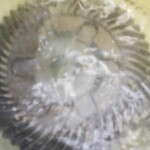 316025290